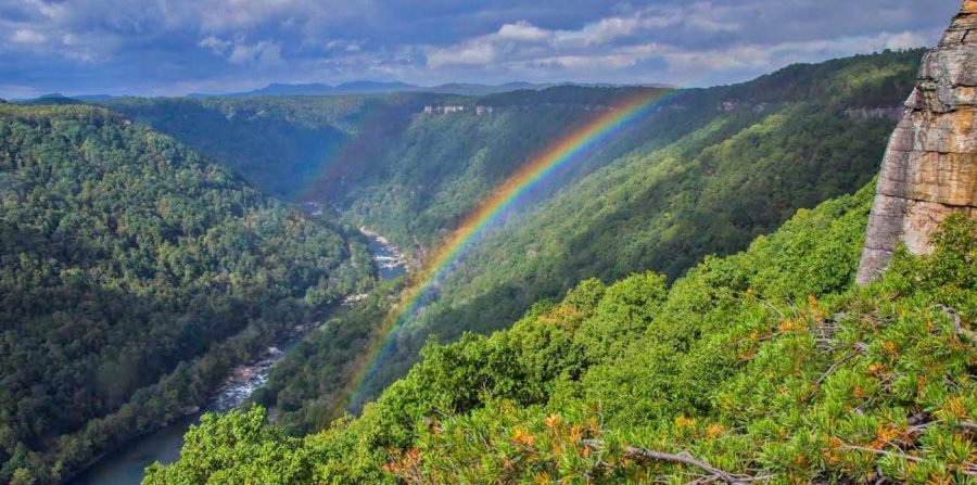 How Old Is The New River Gorge? It’s Anything But New!