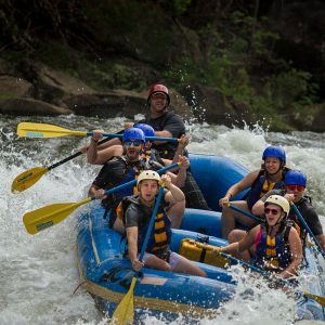 all the fun down the gauley