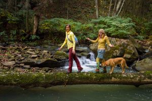 two girls hiking along arbuckle creek at ace adventure resort with a dog 