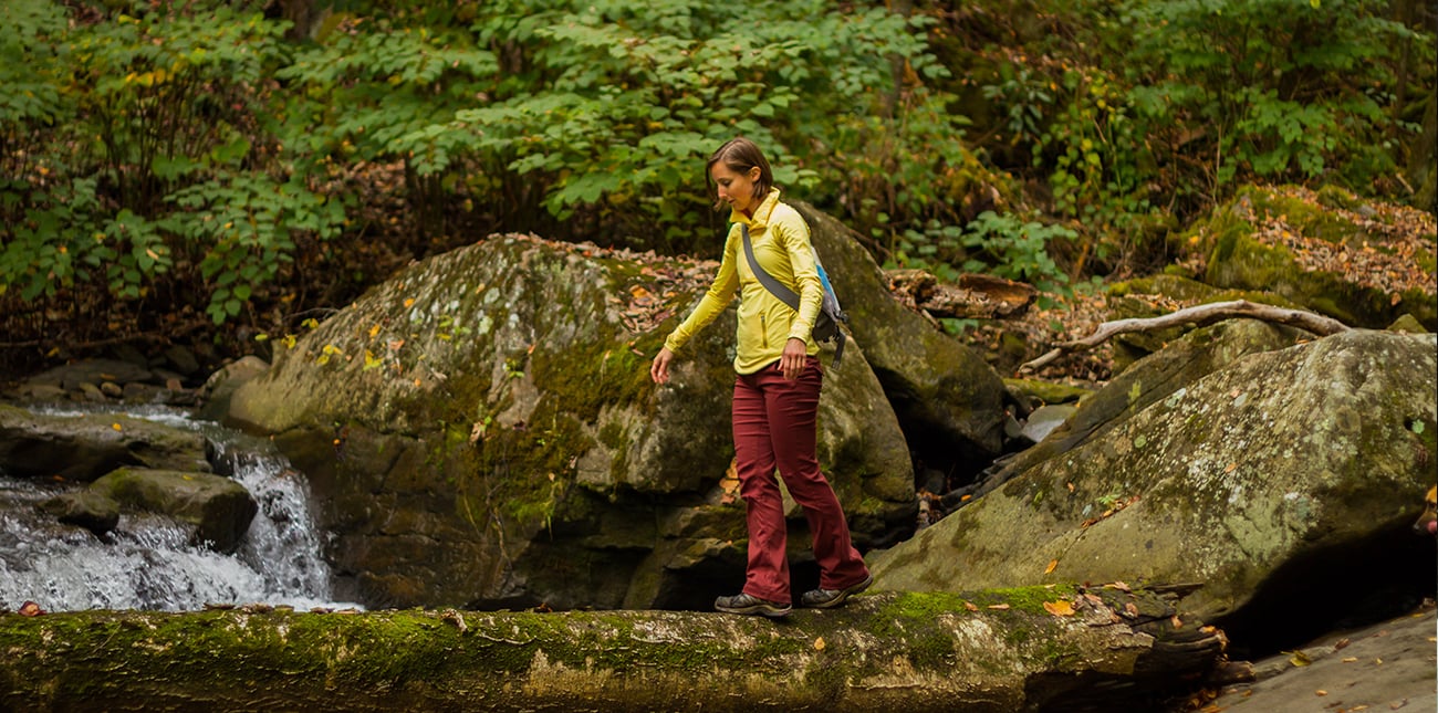 Guided hiking in West Virginia on ACE property in the New River Gorge.