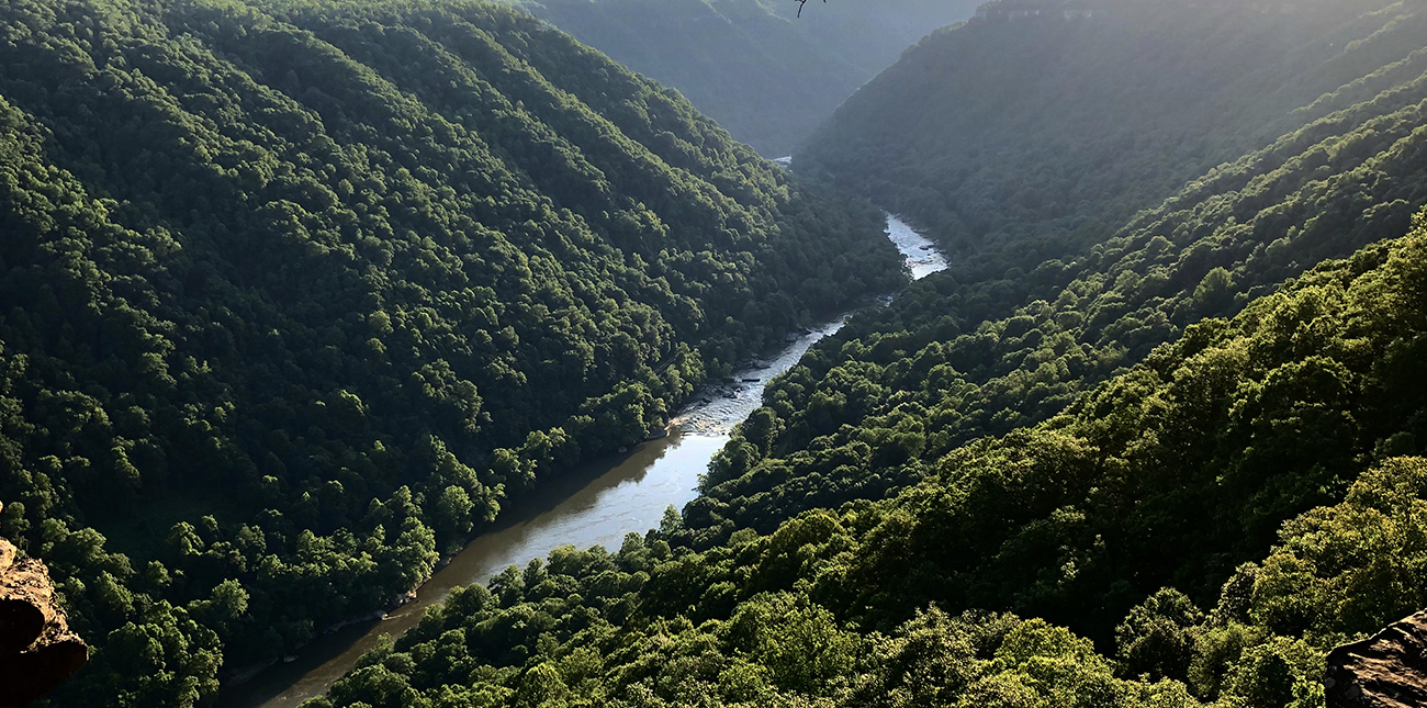 Views of the New River Gorge while hiking in West Virginia on the Endless Wall Trail with ACE Adventure Resort.