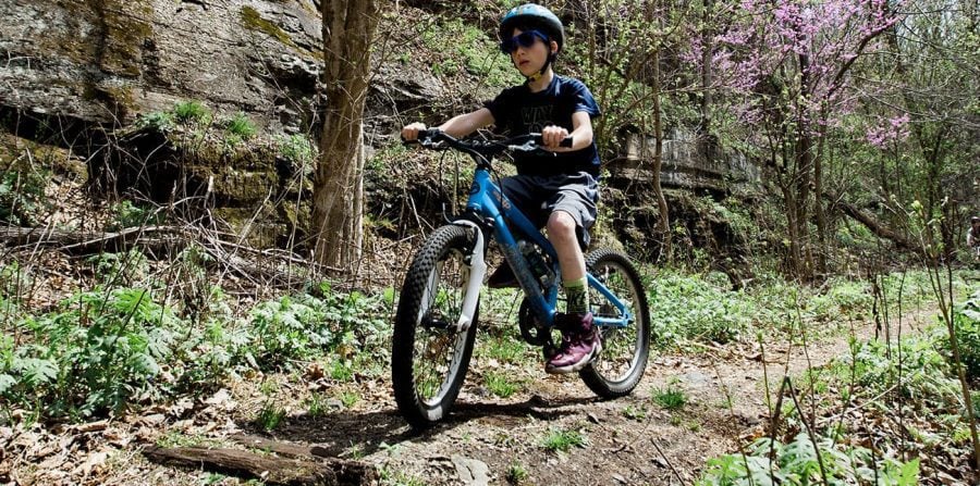 Family-Friendly West Virginia Adventures at ACE’s Kids Camp