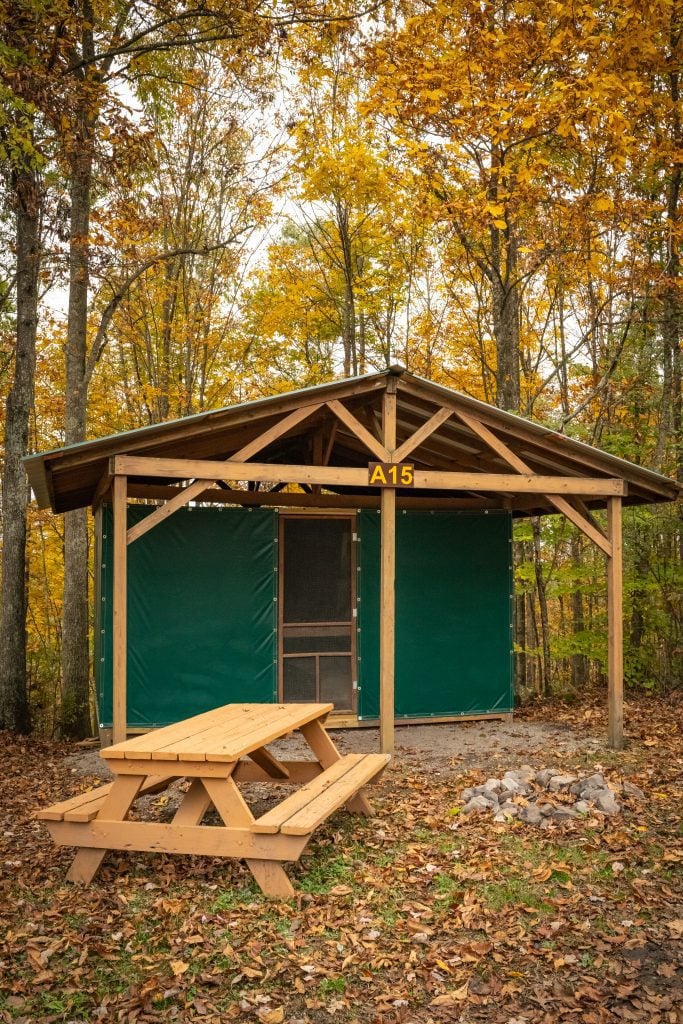 Cabin Tent D9