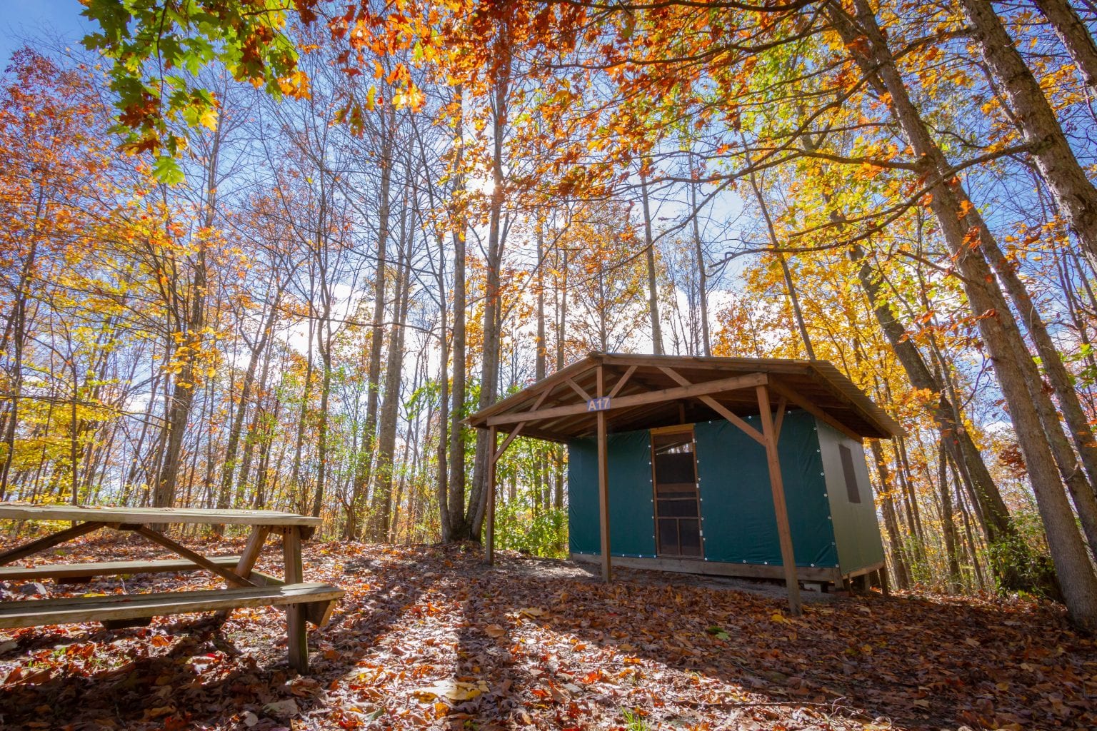 West Virginia Cabin Rentals | ACE Adventure Resort WV ...