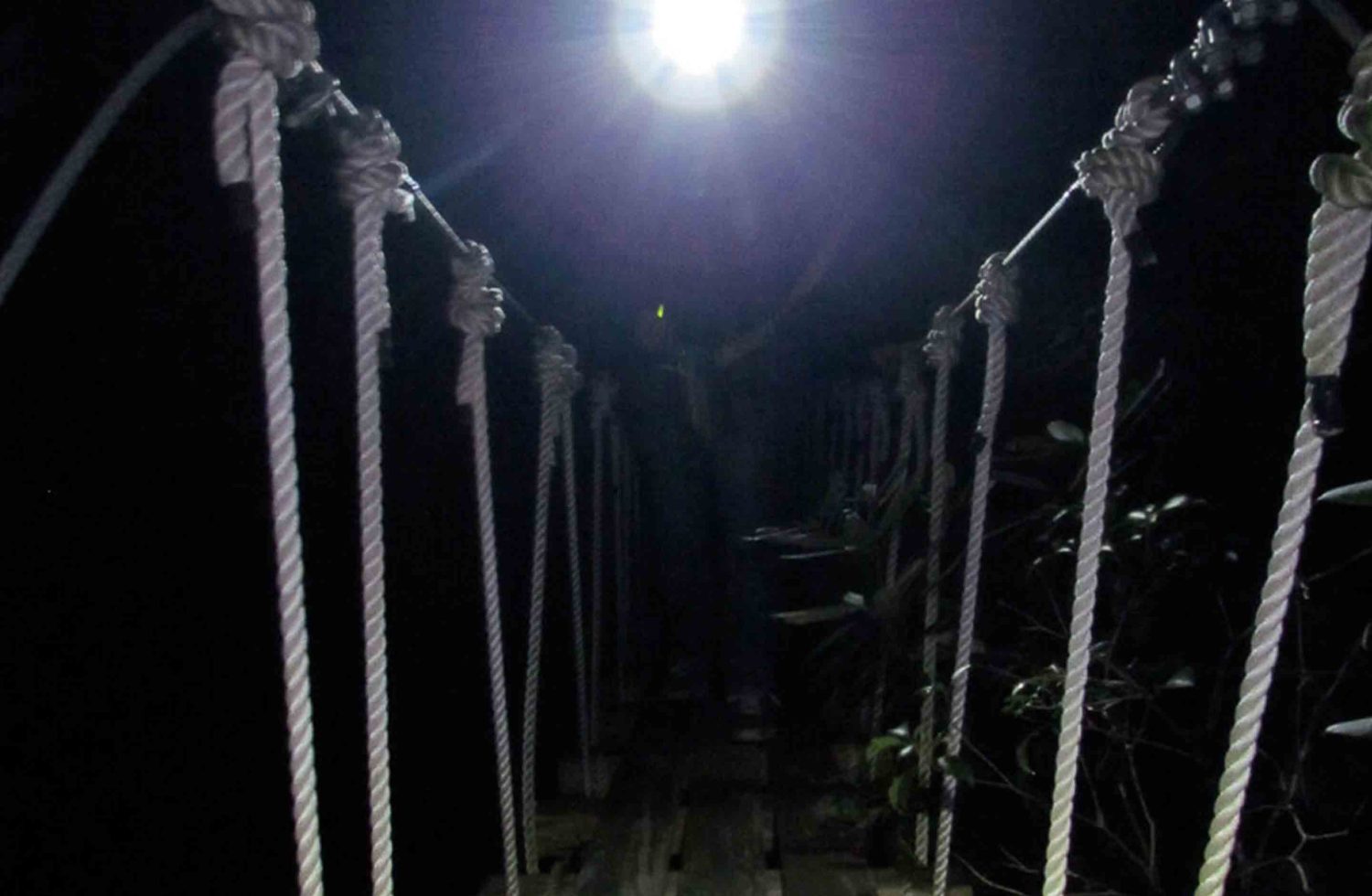 A nighttime view of the rope bridge from the treetop platform on an ACE night time zip line trip.