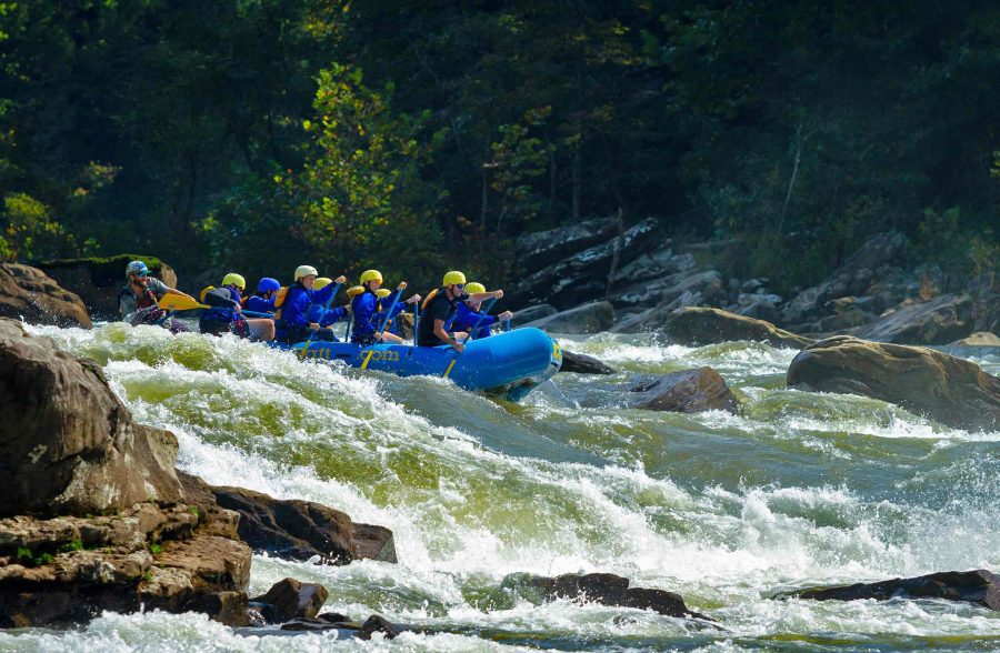 Full Day Fall Upper Gauley Whitewater Rafting Non-Profit Discount