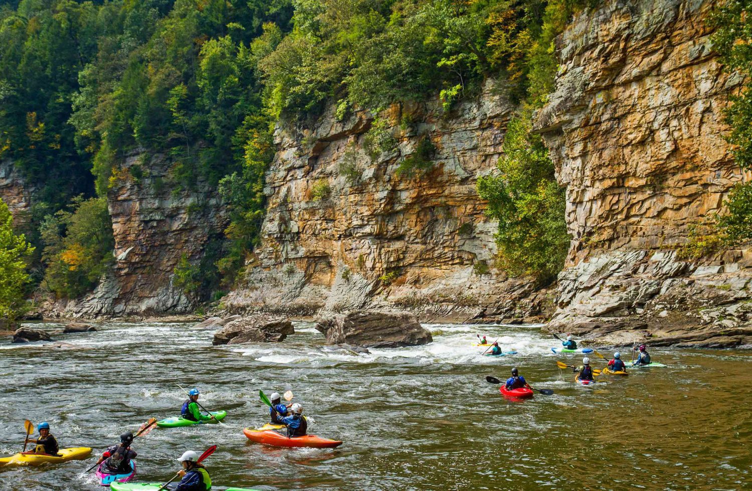 Group Whitewater Kayaking Clinic