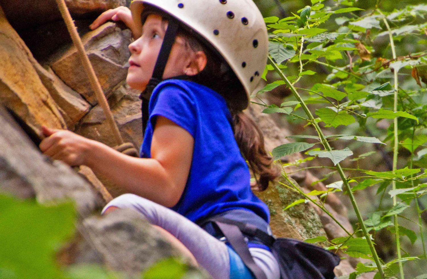 Upper New River Gorge Half Day Rock Climb And Rappel