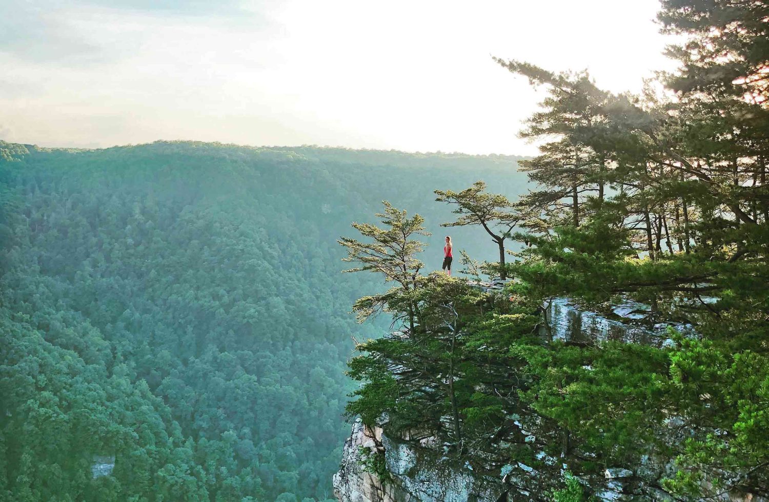 Photo of the Endless Wall, One of the Best Hikes in West Virginia.