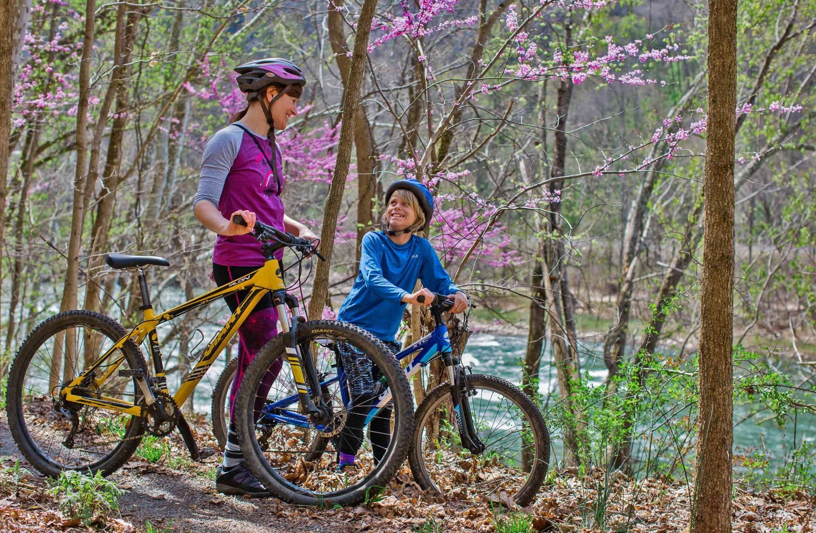 Guided mountain biking tour