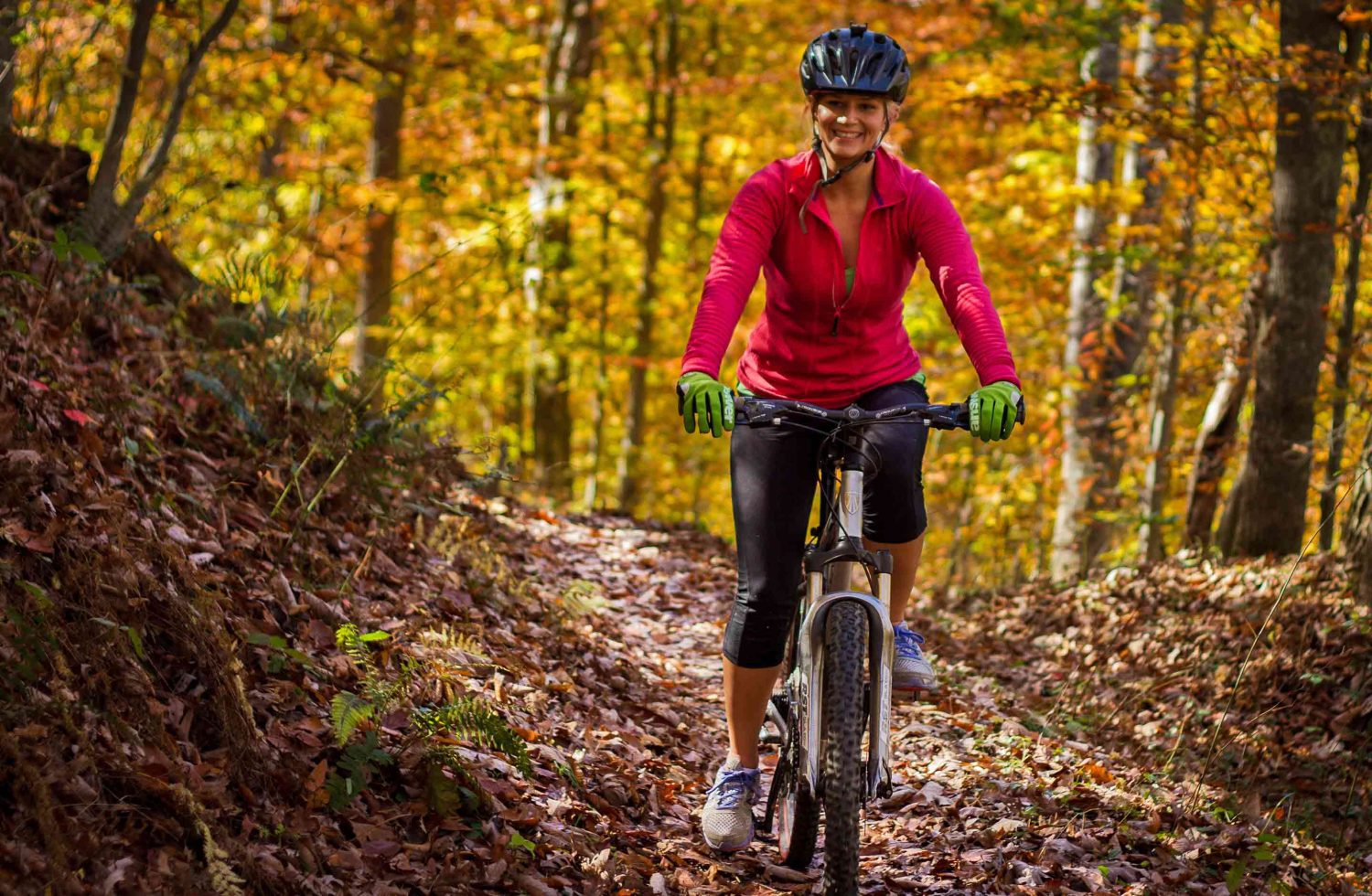 Mountain biking trips online