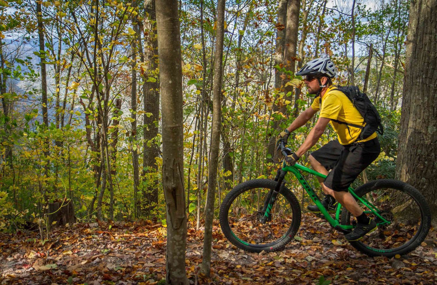 Full Day Guided Mountain Biking, Lower New River Gorge