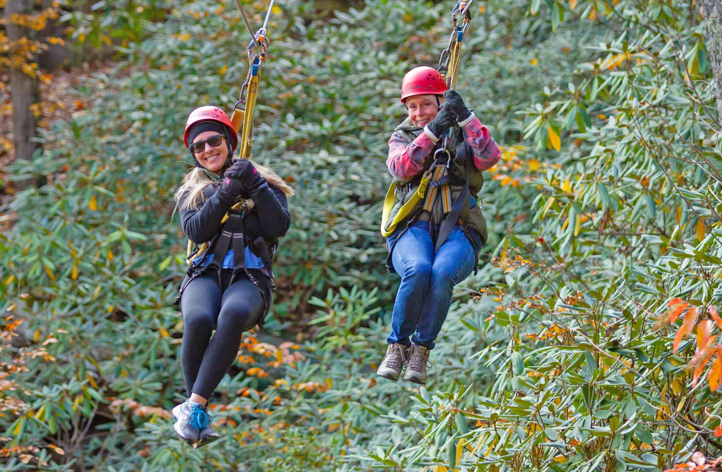 Fall Zipline Tours