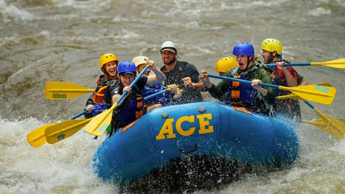 Lower New River Gorge Rafting - ACE Adventures