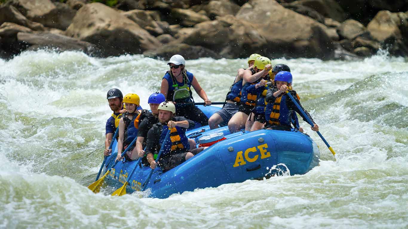 Group rafting the Lower New 