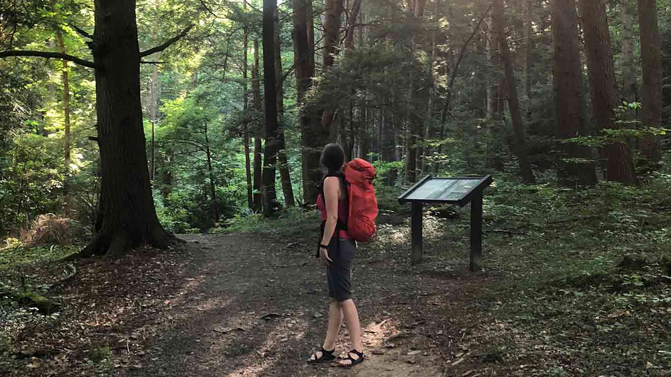 Hiker at the beginning of Endless Wall Trail