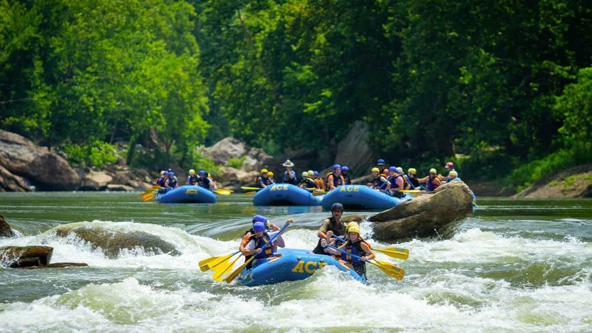 Rustic Cabin Adventure In The New River Gorge National Park - ACE ...