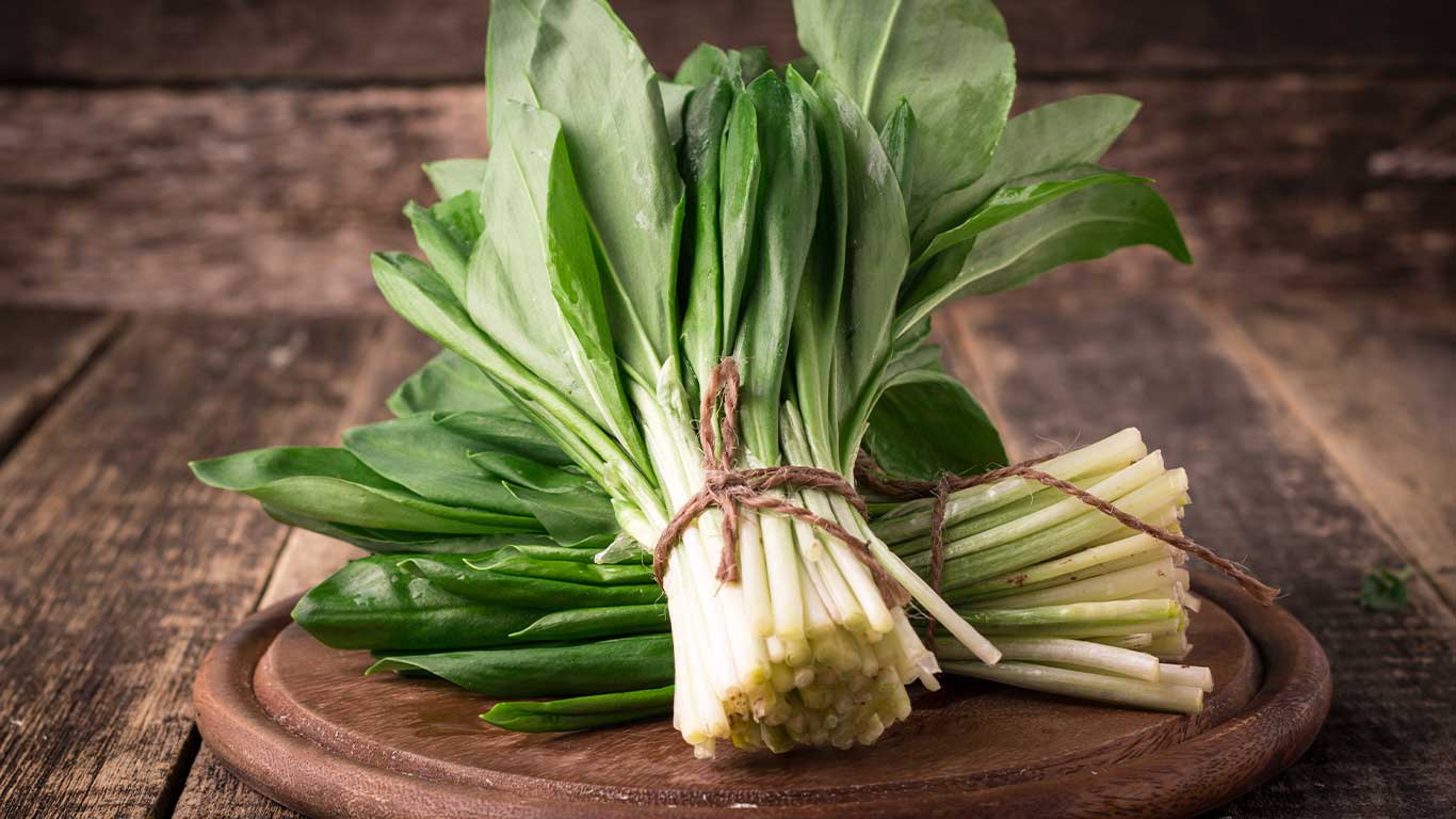 Bundle of ramps on wooden tray