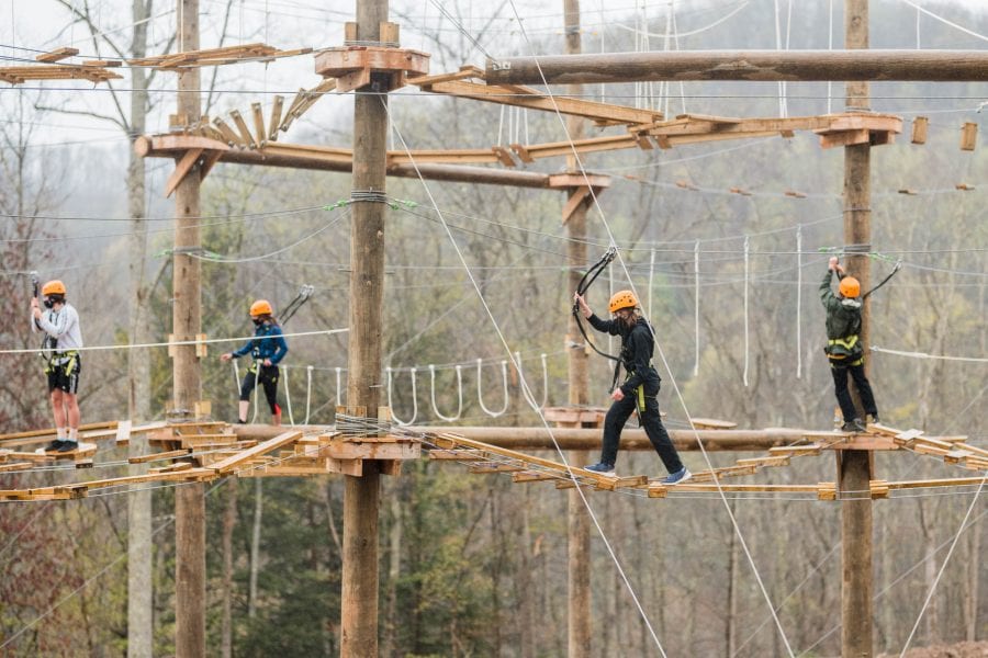 Guests on an aerial park adventure