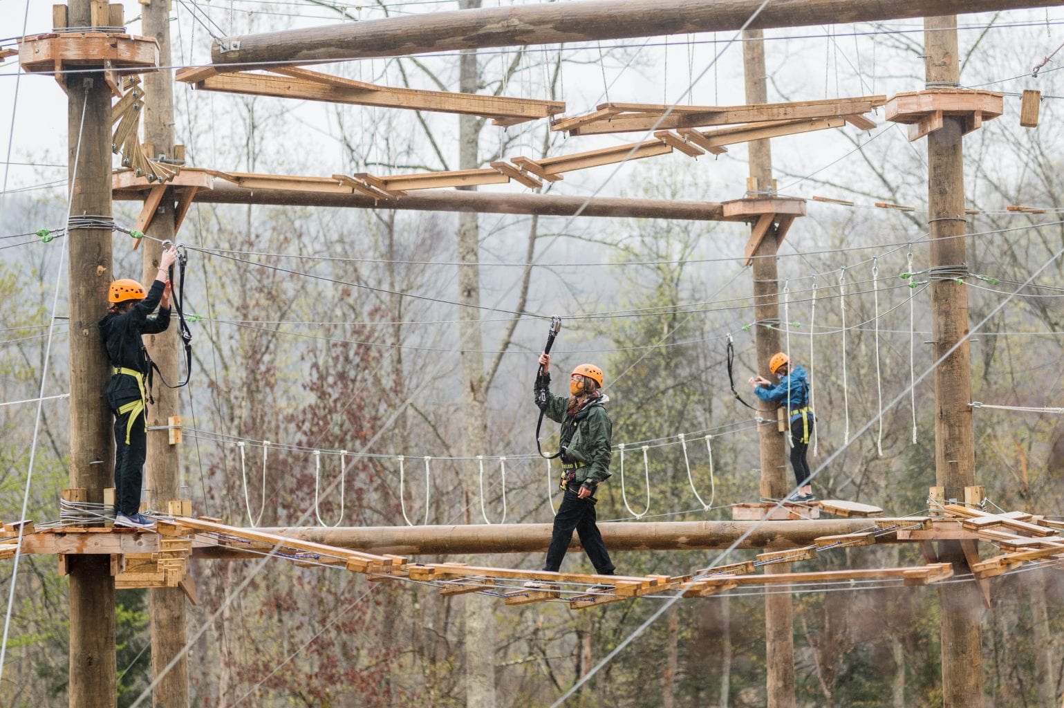 Guests on aerial park