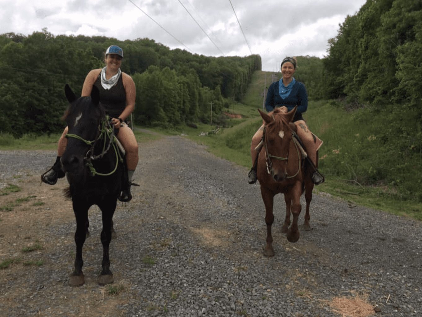 Guided horseback riding