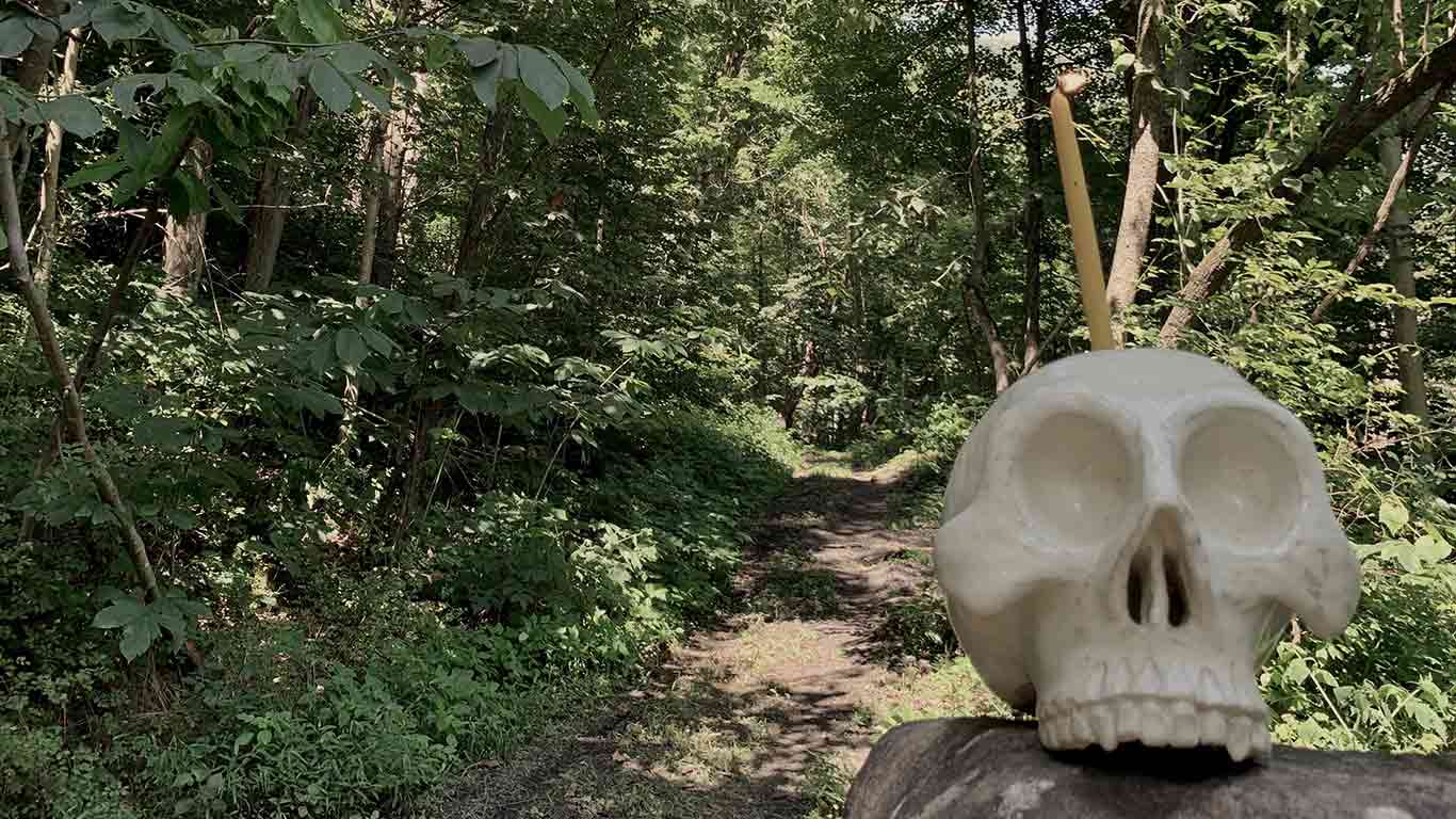 Trail with skull on it for haunted campout 