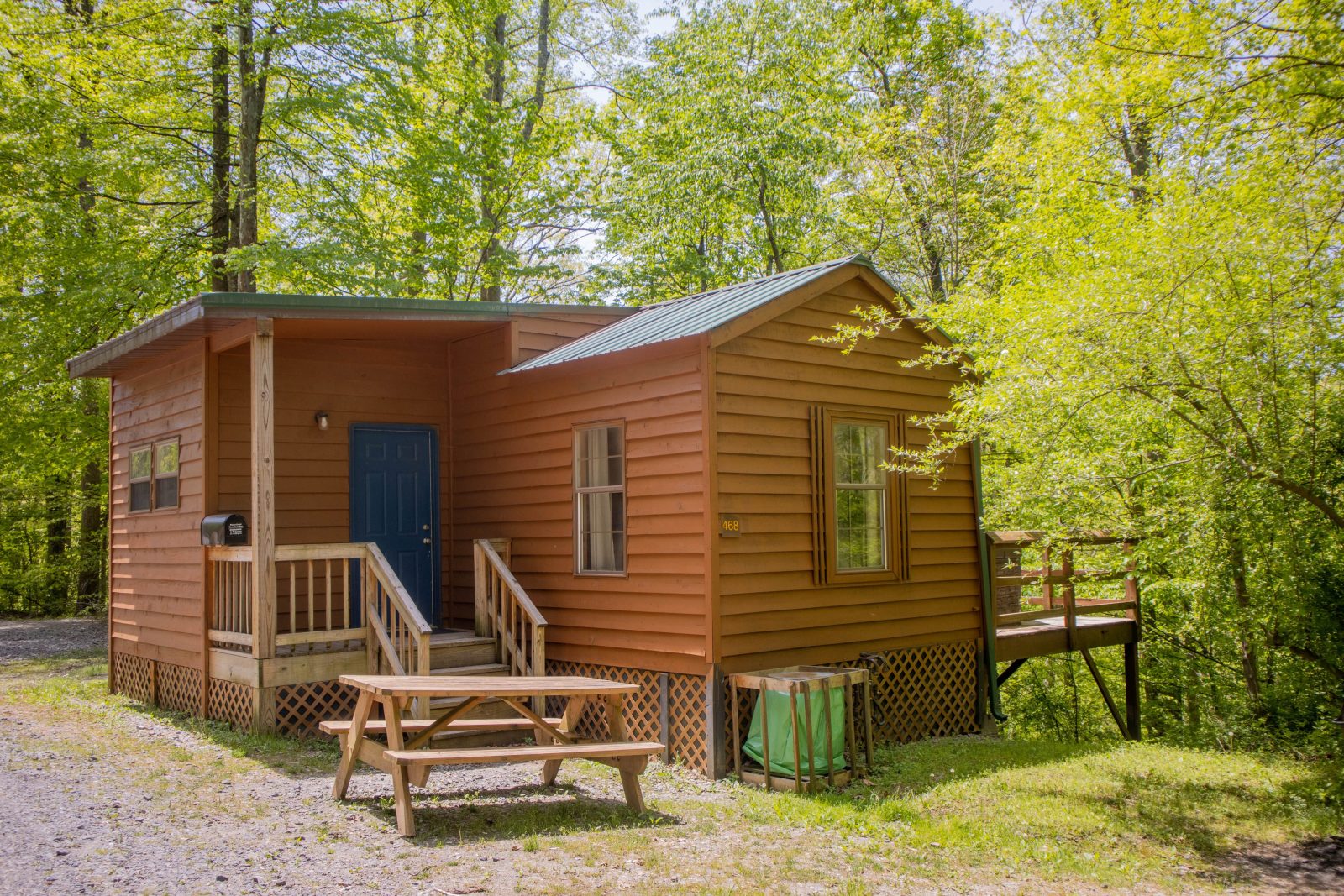 Laurel Cabin 468 - ACE Adventure Resort