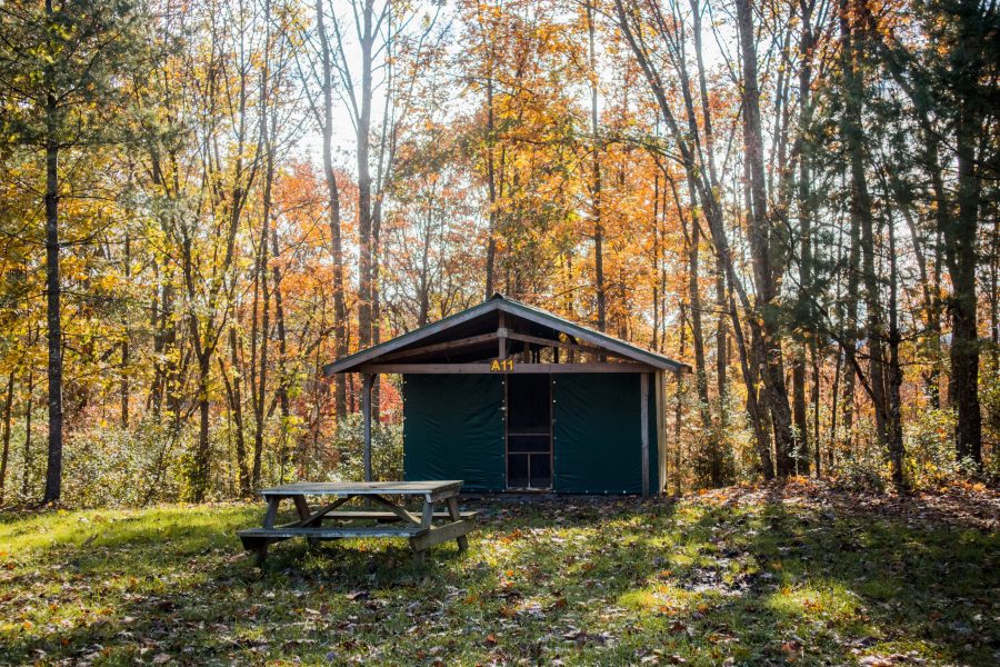 Cabin Tent A11