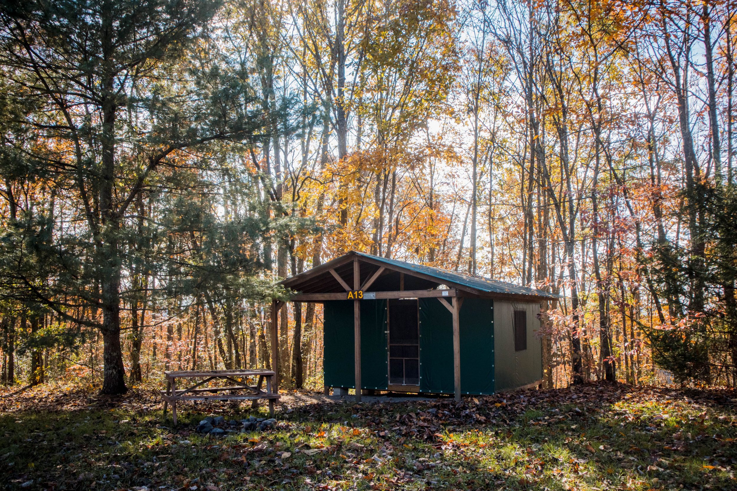 Cabin Tent