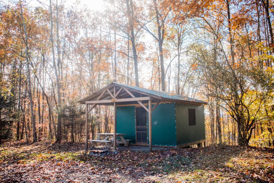 Cabin Tent A15