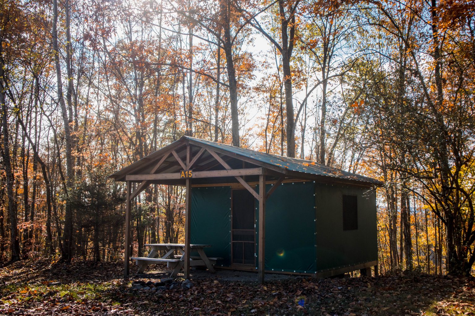 Cabin Tent A15 - ACE Adventure Resort