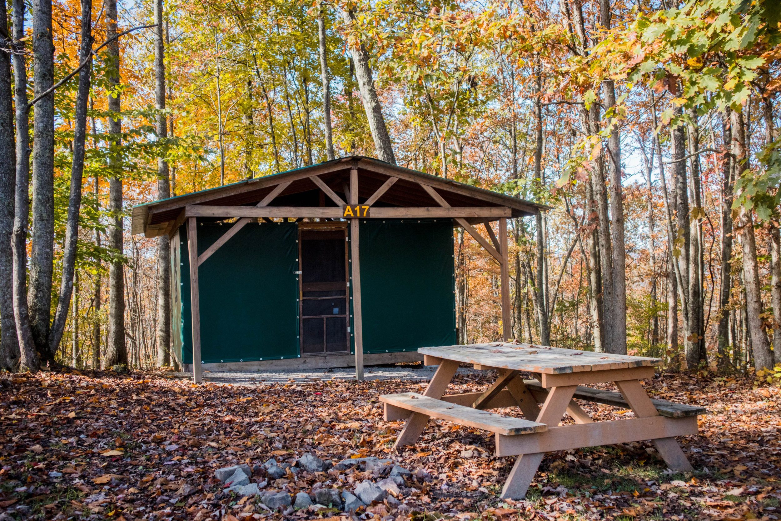 Cabin Tent