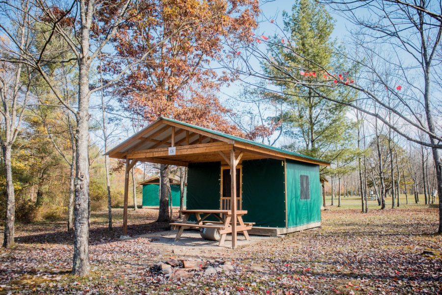 Cabin Tent C6