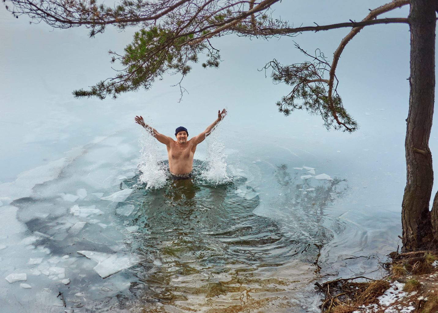 Polar Bear Plunge