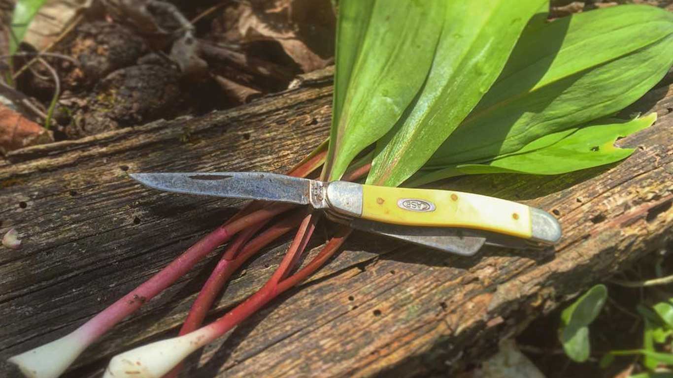 Photo of ramps and ramp knife